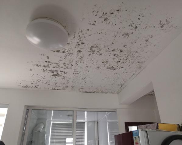 深化黨建推動引領，提升租戶居住幸福指數(shù)
