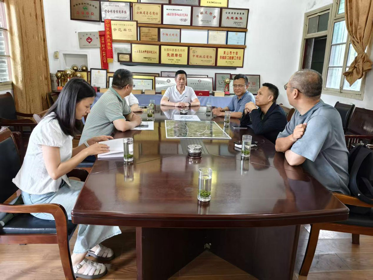江蘇外聯(lián)采考察團(tuán)到實(shí)驗(yàn)茶場(chǎng)考察，共商茶產(chǎn)業(yè)合作新藍(lán)圖